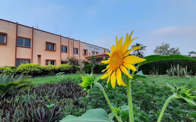 Slg Primary Teachers Training College Gallery